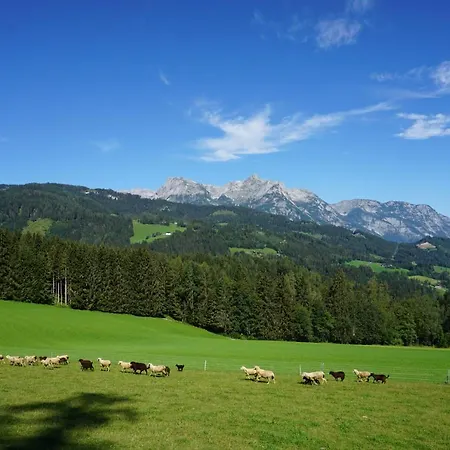 Appartement Winteraugut Werfen Buitenkant foto