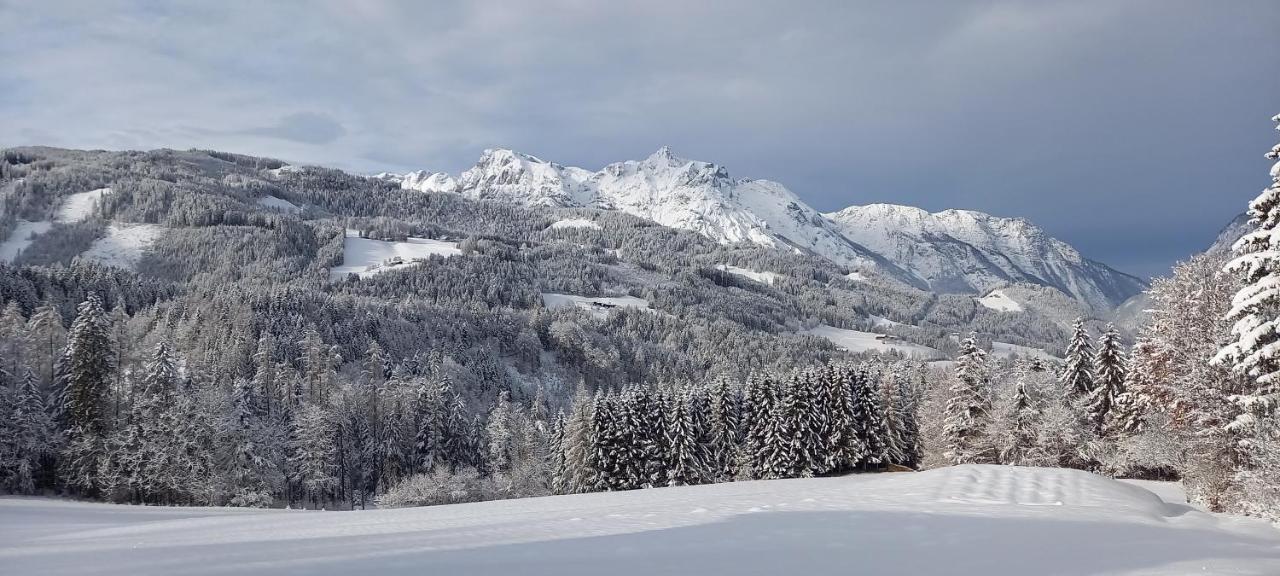 Winteraugut