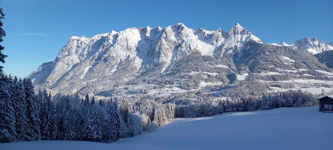 Winteraugut * Werfen