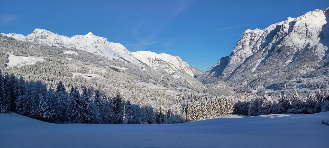 Winteraugut * Werfen