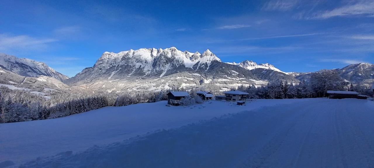Winteraugut *